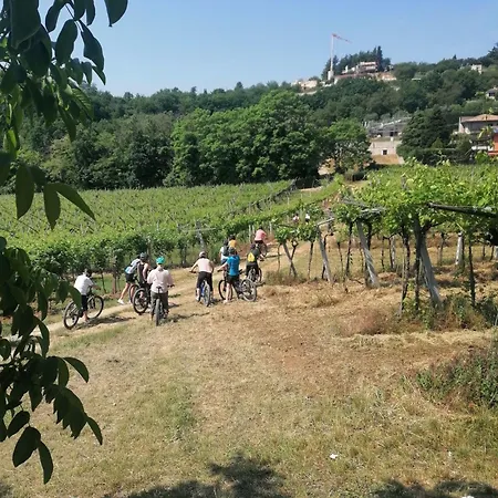 Villa Avesa-2